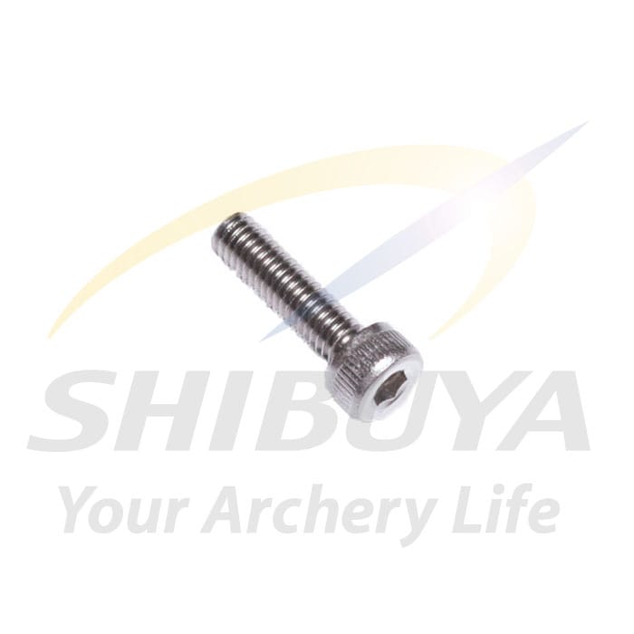 SHIBUYA AR-8 M4×15キャップネジ