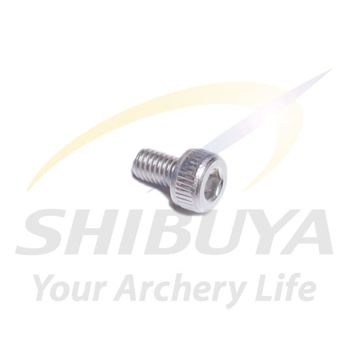 SHIBUYA SX-10 M3×5キャップネジ
